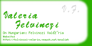 valeria felvinczi business card